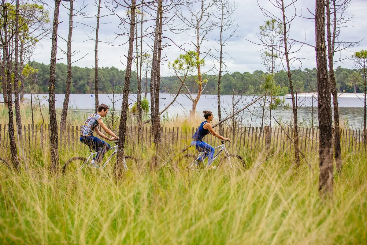 Sud Gironde : portillon et accès extérieur verdoyant près du gîte